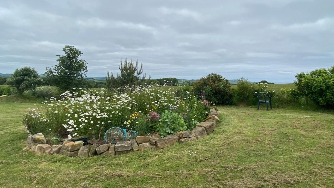 Wheelhouse - Grinkle Bell Cottage Saltburn-by-the-Sea Exterior photo